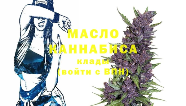 прущий лед Инсар