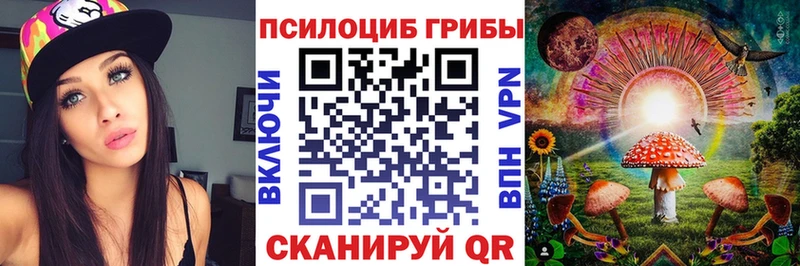 Псилоцибиновые грибы мухоморы  Купить где  Гусиноозёрск 